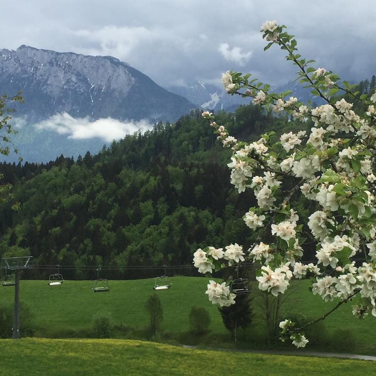 Bergschloessl Fewo 28 Oberaudorf Bilik gambar